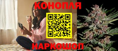 бошки Изобильный